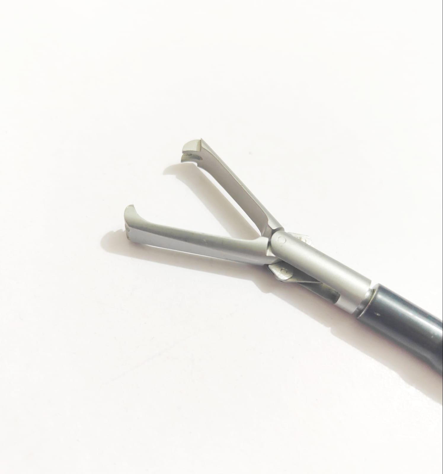 Claw Forcesps